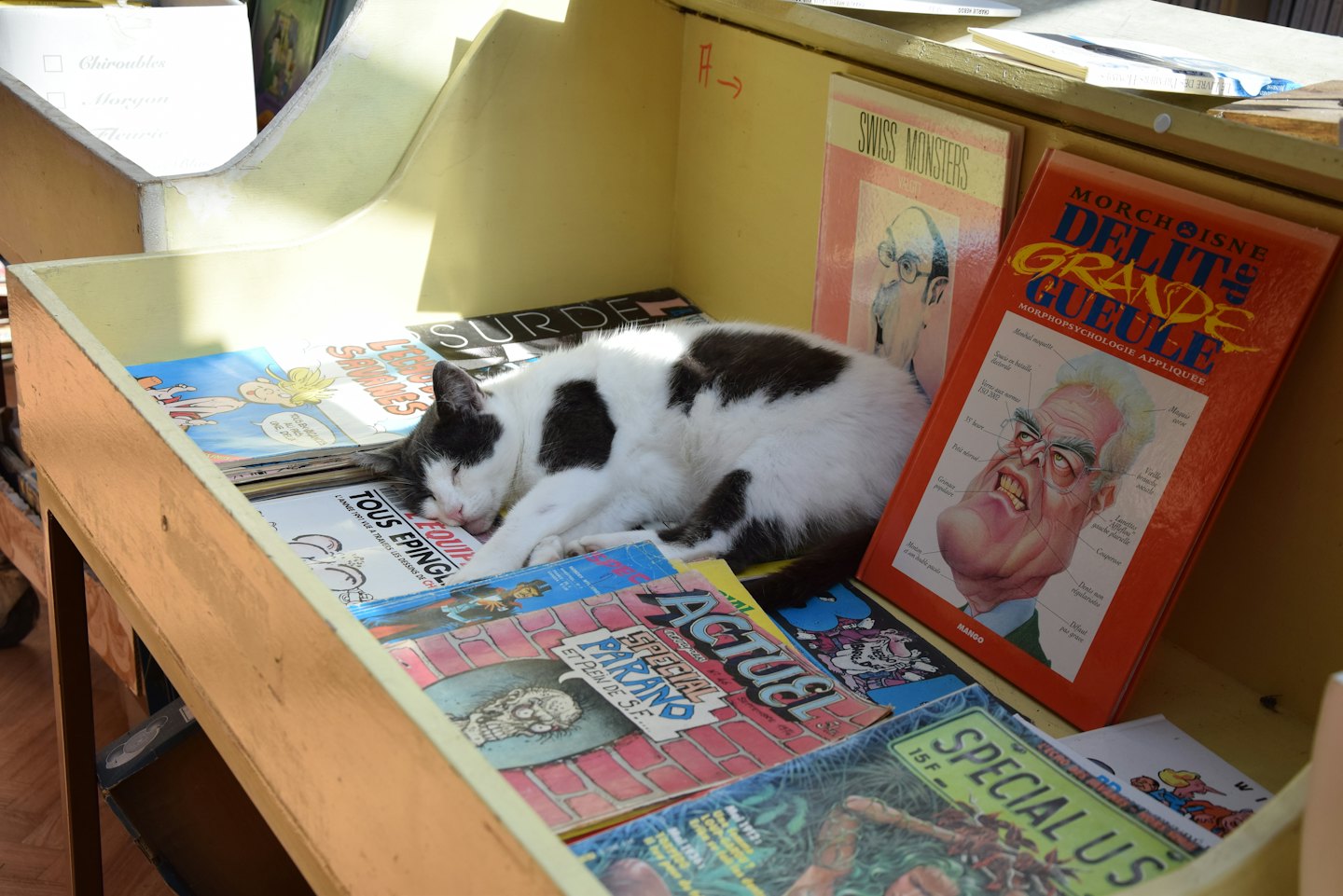 Black cat sleeping on a pile of magazines in a shelf.