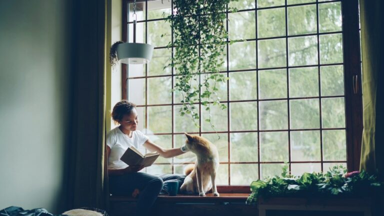 Essential Daily Routines for the Modern Fiction Author