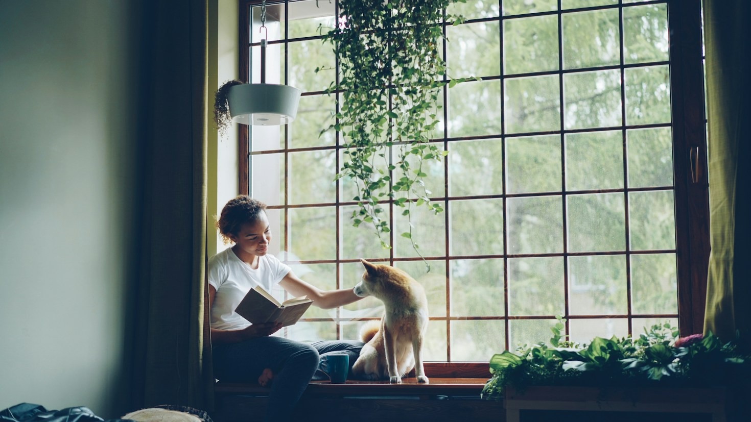Essential Daily Routines for the Modern Fiction Author